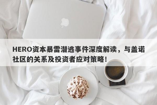 HERO资本暴雷潜逃事件深度解读，与盖诺社区的关系及投资者应对策略！-第1张图片-要懂汇