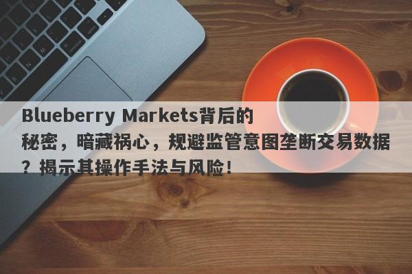 Blueberry Markets背后的秘密，暗藏祸心，规避监管意图垄断交易数据？揭示其操作手法与风险！-第1张图片-要懂汇