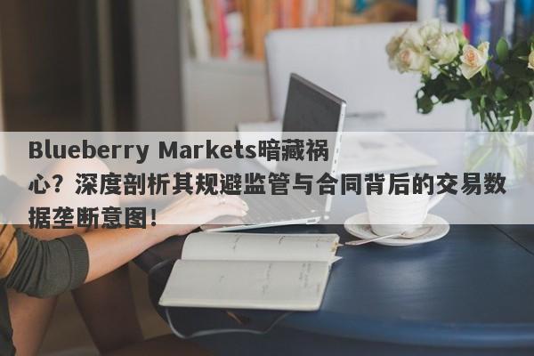 Blueberry Markets暗藏祸心？深度剖析其规避监管与合同背后的交易数据垄断意图！-第1张图片-要懂汇