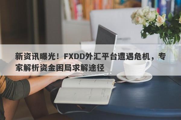 新资讯曝光！FXDD外汇平台遭遇危机，专家解析资金困局求解途径-第1张图片-要懂汇