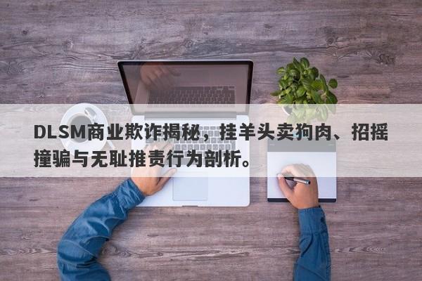 DLSM商业欺诈揭秘，挂羊头卖狗肉、招摇撞骗与无耻推责行为剖析。-第1张图片-要懂汇