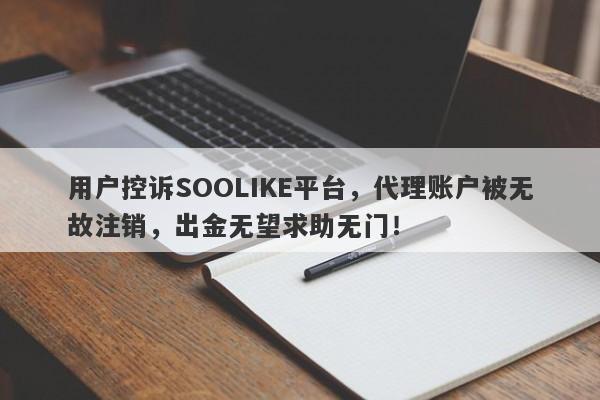 用户控诉SOOLIKE平台，代理账户被无故注销，出金无望求助无门！-第1张图片-要懂汇