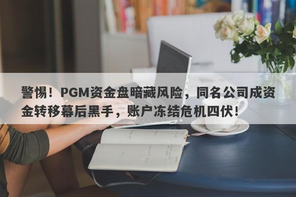 警惕！PGM资金盘暗藏风险，同名公司成资金转移幕后黑手，账户冻结危机四伏！-第1张图片-要懂汇