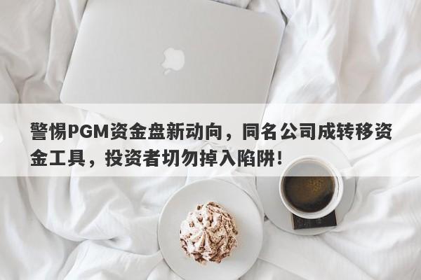 警惕PGM资金盘新动向，同名公司成转移资金工具，投资者切勿掉入陷阱！-第1张图片-要懂汇