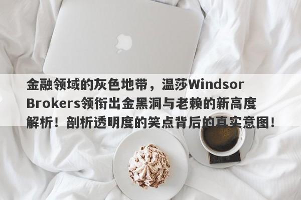 金融领域的灰色地带，温莎Windsor Brokers领衔出金黑洞与老赖的新高度解析！剖析透明度的笑点背后的真实意图！-第1张图片-要懂汇