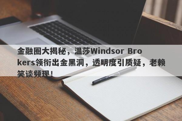 金融圈大揭秘，温莎Windsor Brokers领衔出金黑洞，透明度引质疑，老赖笑谈频现！-第1张图片-要懂汇