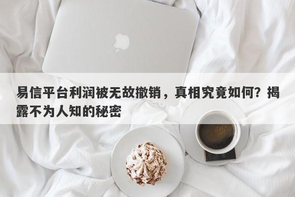 易信平台利润被无故撤销，真相究竟如何？揭露不为人知的秘密-第1张图片-要懂汇