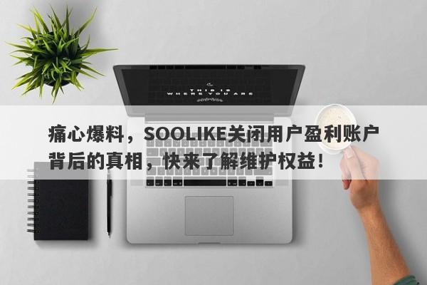 痛心爆料，SOOLIKE关闭用户盈利账户背后的真相，快来了解维护权益！-第1张图片-要懂汇