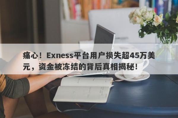 痛心！Exness平台用户损失超45万美元，资金被冻结的背后真相揭秘！-第1张图片-要懂汇