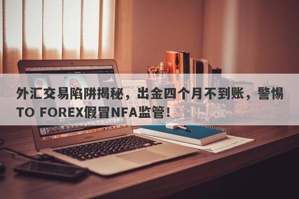 外汇交易陷阱揭秘，出金四个月不到账，警惕TO FOREX假冒NFA监管！-第1张图片-要懂汇