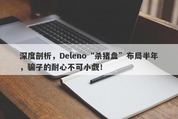 深度剖析，Deleno“杀猪盘”布局半年，骗子的耐心不可小觑！-第1张图片-要懂汇