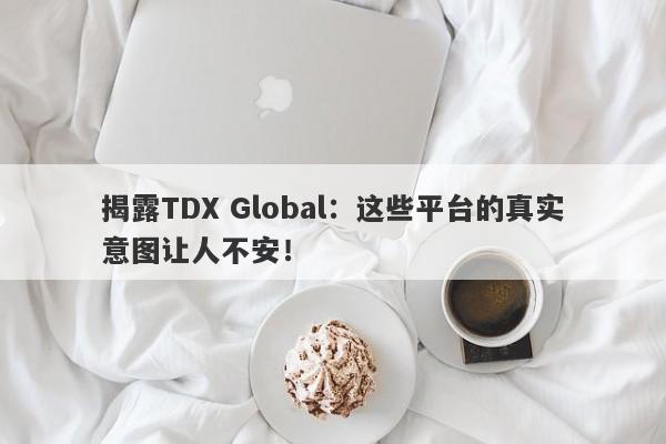 揭露TDX Global：这些平台的真实意图让人不安！-第1张图片-要懂汇