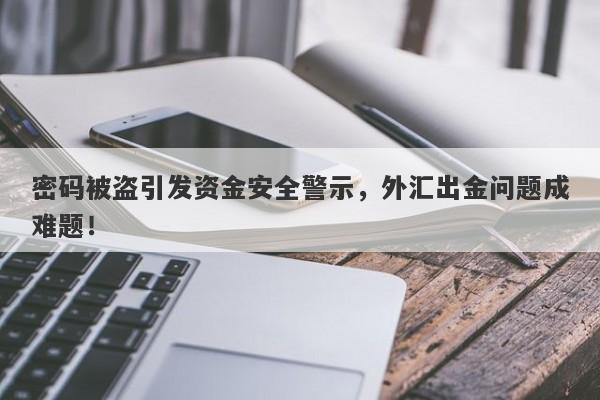 密码被盗引发资金安全警示，外汇出金问题成难题！-第1张图片-要懂汇