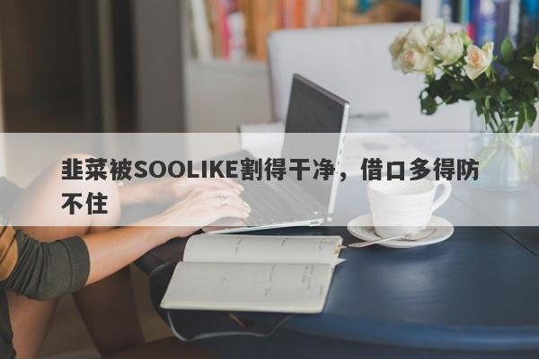 韭菜被SOOLIKE割得干净，借口多得防不住-第1张图片-要懂汇