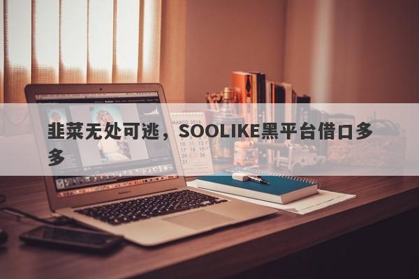 韭菜无处可逃，SOOLIKE黑平台借口多多-第1张图片-要懂汇