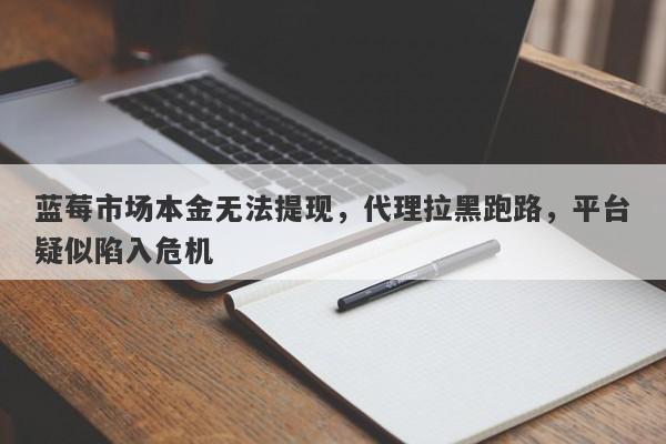 蓝莓市场本金无法提现，代理拉黑跑路，平台疑似陷入危机-第1张图片-要懂汇