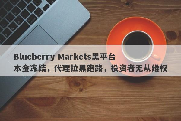 Blueberry Markets黑平台本金冻结，代理拉黑跑路，投资者无从维权-第1张图片-要懂汇