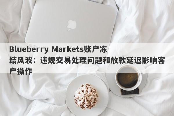 Blueberry Markets账户冻结风波：违规交易处理问题和放款延迟影响客户操作-第1张图片-要懂汇