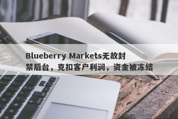 Blueberry Markets无故封禁后台，克扣客户利润，资金被冻结-第1张图片-要懂汇