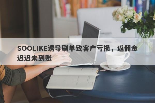 SOOLIKE诱导刷单致客户亏损，返佣金迟迟未到账-第1张图片-要懂汇