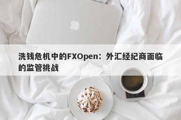 洗钱危机中的FXOpen：外汇经纪商面临的监管挑战-第1张图片-要懂汇