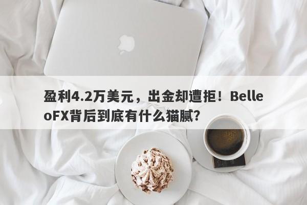 盈利4.2万美元，出金却遭拒！BelleoFX背后到底有什么猫腻？-第1张图片-要懂汇