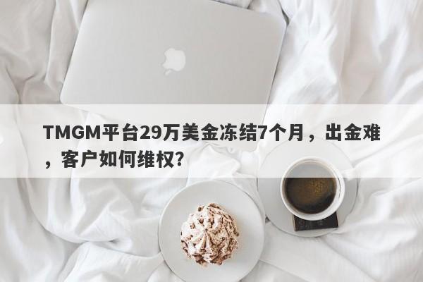 TMGM平台29万美金冻结7个月，出金难，客户如何维权？-第1张图片-要懂汇