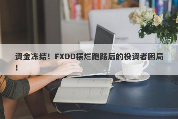 资金冻结！FXDD摆烂跑路后的投资者困局！-第1张图片-要懂汇