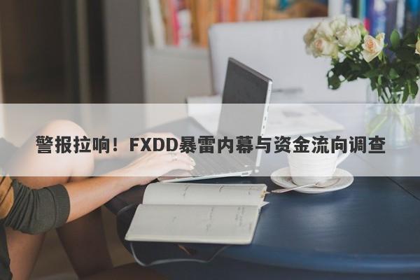 警报拉响！FXDD暴雷内幕与资金流向调查-第1张图片-要懂汇