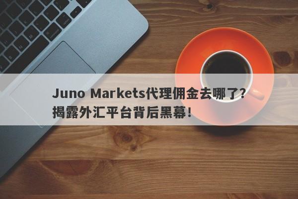 Juno Markets代理佣金去哪了？揭露外汇平台背后黑幕！-第1张图片-要懂汇