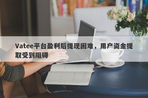 Vatee平台盈利后提现困难，用户资金提取受到阻碍-第1张图片-要懂汇