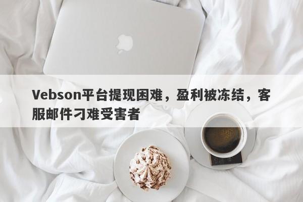 Vebson平台提现困难，盈利被冻结，客服邮件刁难受害者-第1张图片-要懂汇