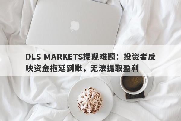 DLS MARKETS提现难题：投资者反映资金拖延到账，无法提取盈利-第1张图片-要懂汇