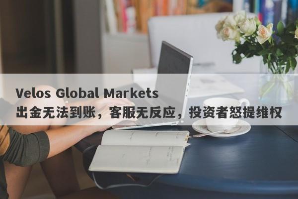 Velos Global Markets出金无法到账，客服无反应，投资者怒提维权-第1张图片-要懂汇