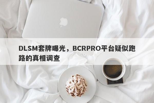 DLSM套牌曝光，BCRPRO平台疑似跑路的真相调查-第1张图片-要懂汇