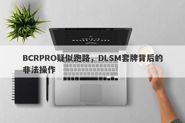 BCRPRO疑似跑路，DLSM套牌背后的非法操作-第1张图片-要懂汇